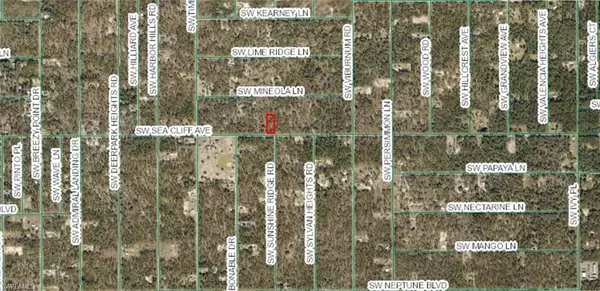 Dunnellon, FL 34431,1808-018-030 SW Sea Cliff AVE