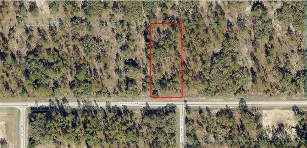 1808-018-030 SW Sea Cliff AVE, Dunnellon, FL 34431