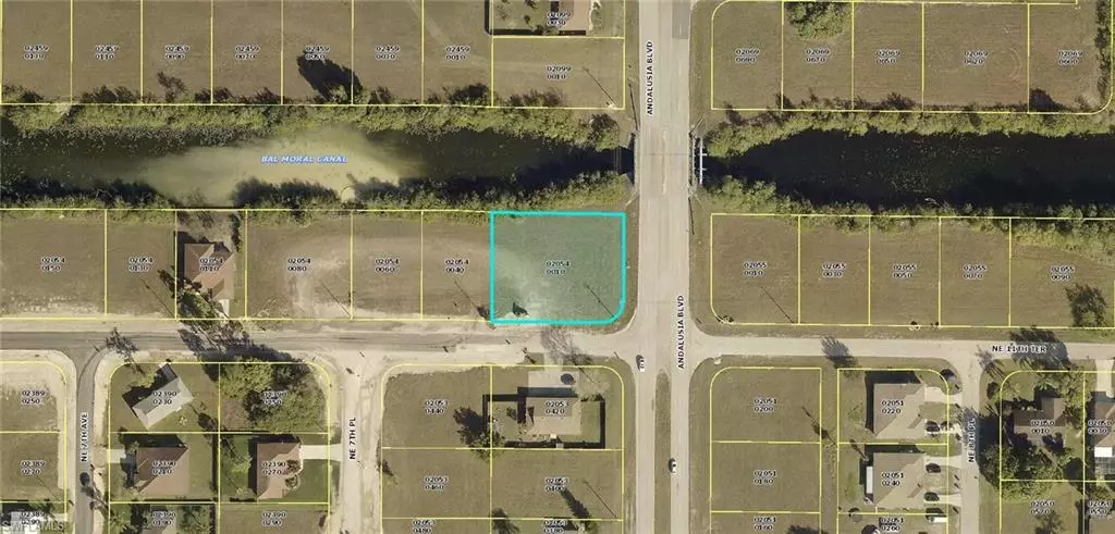 1118 Andalusia BLVD, Cape Coral, FL 33909