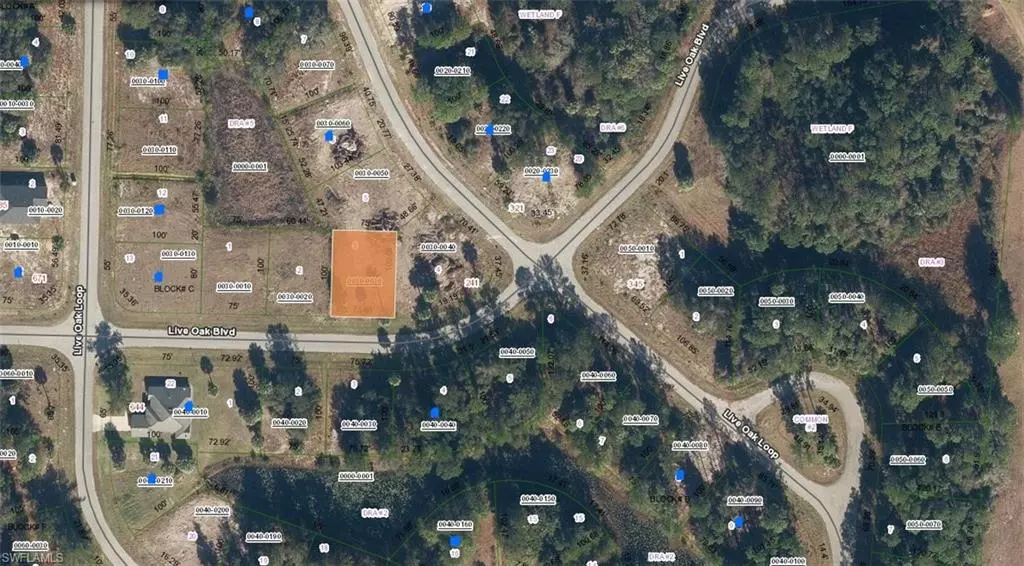 221 Live Oak BLVD, Crescent City, FL 32112