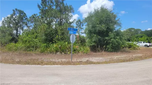 Lehigh Acres, FL 33974,769 Ferndale AVE S