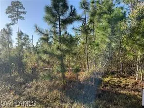 2804 E 11th ST, Lehigh Acres, FL 33972