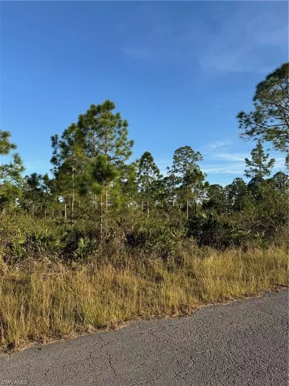 Lehigh Acres, FL 33972,1308 FIFTH AVE