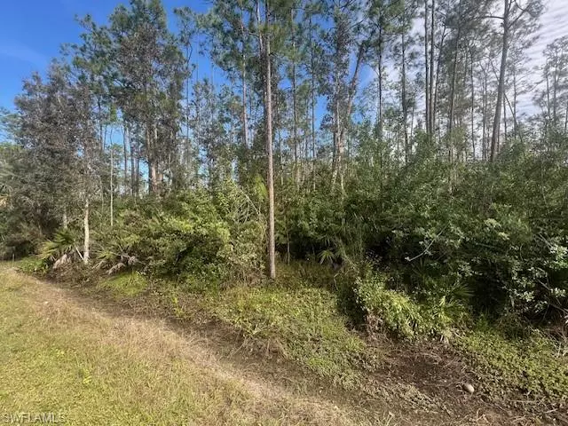 Estero, FL 33928,19201 Burgundy Farms RD