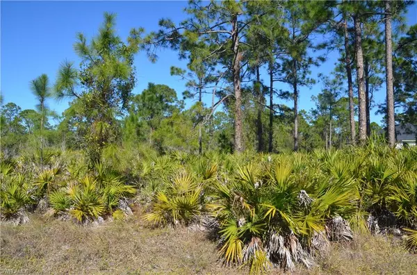 Lehigh Acres, FL 33972,1602 W 14th ST