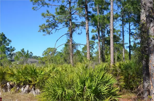 Lehigh Acres, FL 33972,1602 W 14th ST