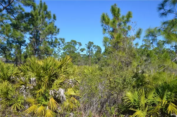 Lehigh Acres, FL 33972,1604 W 14th ST