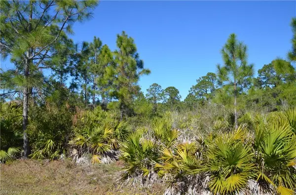 1604 W 14th ST, Lehigh Acres, FL 33972