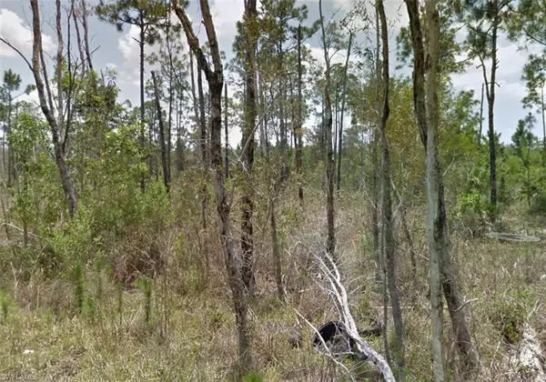 North Fort Myers, FL 33917,2258 Brooklawn DR