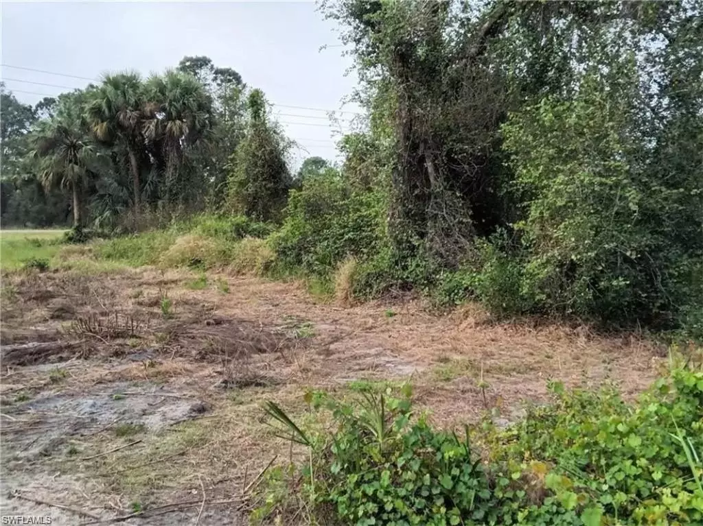 Lehigh Acres, FL 33972,666 Windermere DR