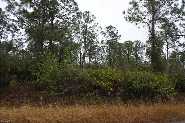 Lehigh Acres, FL 33972,811 State AVE