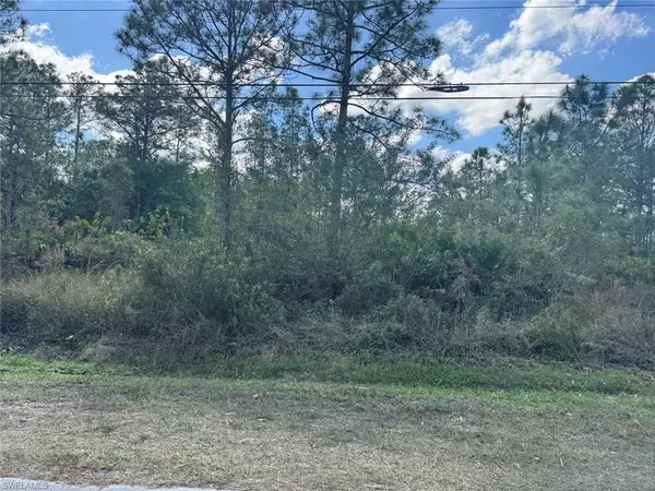Naples, FL 34120,4370 64th AVE NE