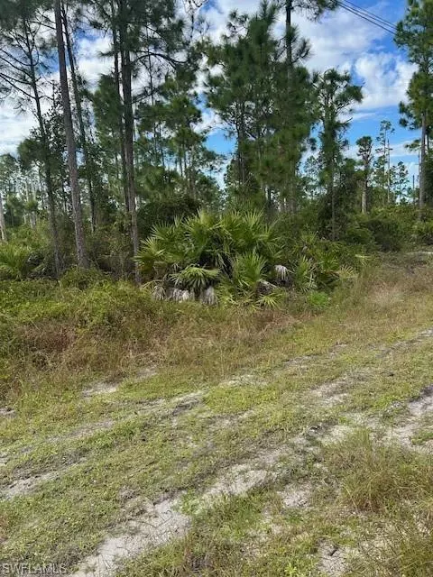 Lehigh Acres, FL 33974,1054 Manta AVE S