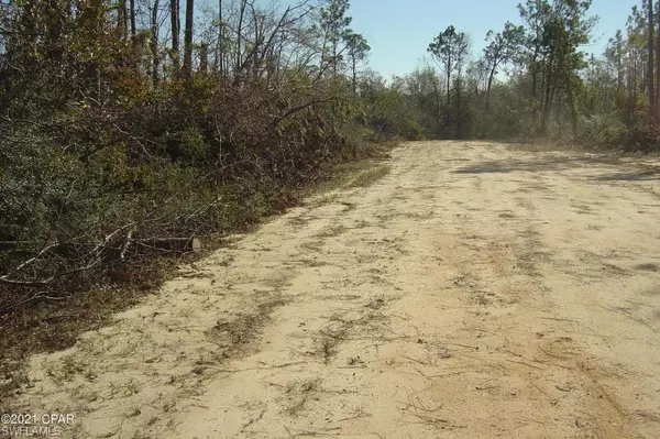 Marianna, FL 32448,00 Old Spanish