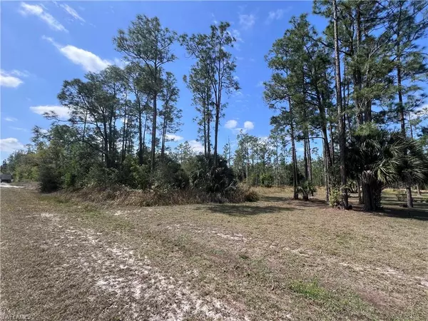 Lehigh Acres, FL 33972,1317 Washington AVE