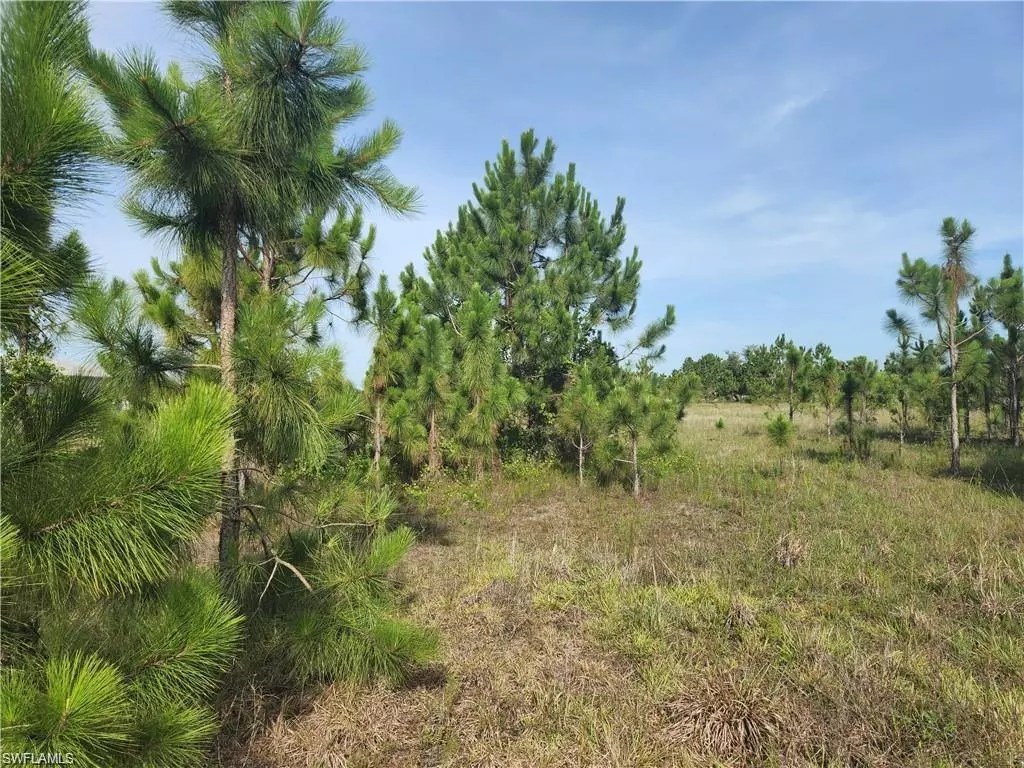 Naples, FL 34120,3065 Everglades BLVD N