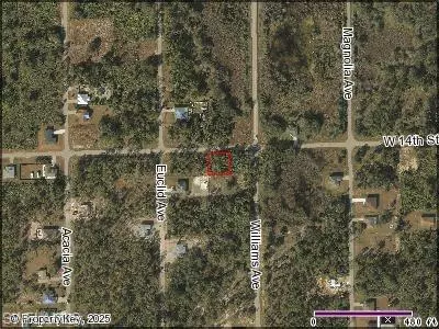 1103 W 14th ST, Lehigh Acres, FL 33972