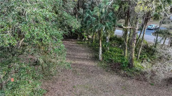 Labelle, FL 33935,0 8th AVE