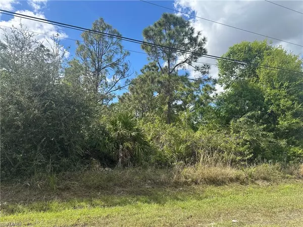 Naples, FL 34120,5045 44th ST NE
