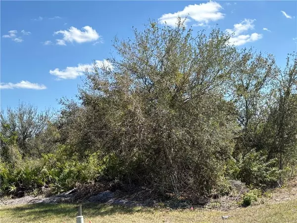Lehigh Acres, FL 33974,209 Pearson ST