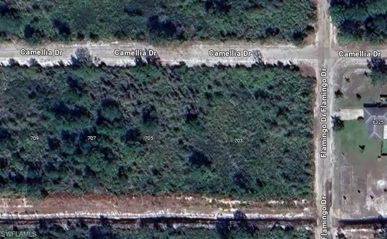 Indian Lake Estates, FL 33855,701 Camellia DR