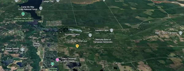 Fort Mc Coy, FL 32134,22290 NE 125th AVE