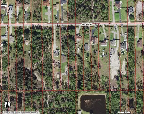 Naples, FL 34120,43rd AVE NE