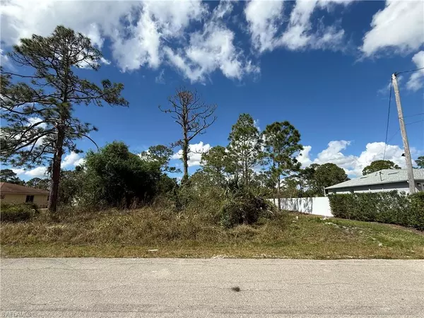 Lehigh Acres, FL 33972,1009 Acacia AVE