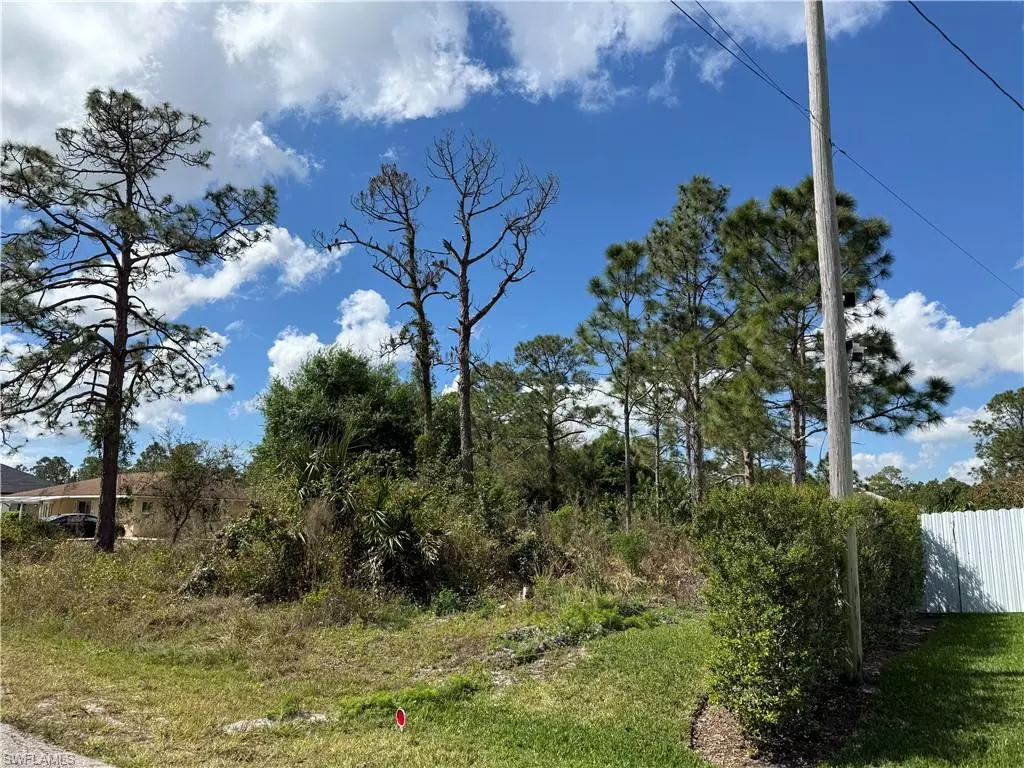 Lehigh Acres, FL 33972,1009 Acacia AVE