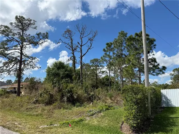 1009 Acacia AVE, Lehigh Acres, FL 33972