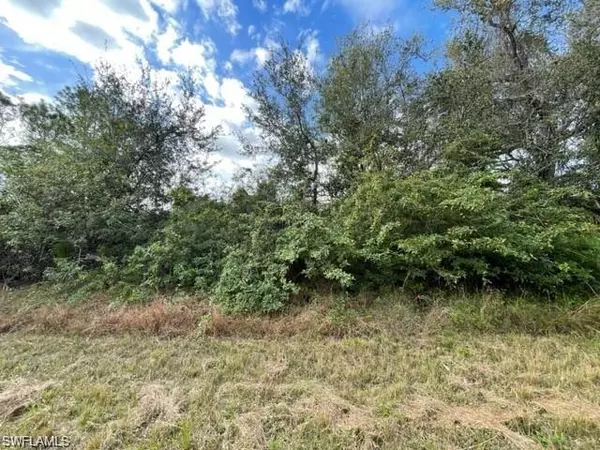 1507 Plumosa AVE, Lehigh Acres, FL 33972