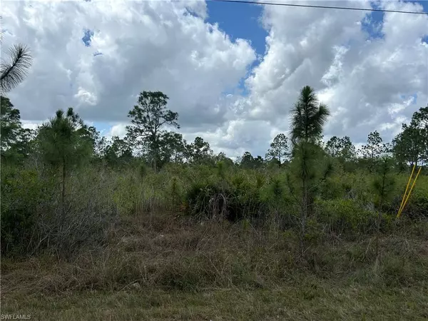 Lehigh Acres, FL 33972,1847 Lindenwood DR