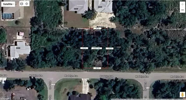 Port Charlotte, FL 33954,22434 Madelyn AVE