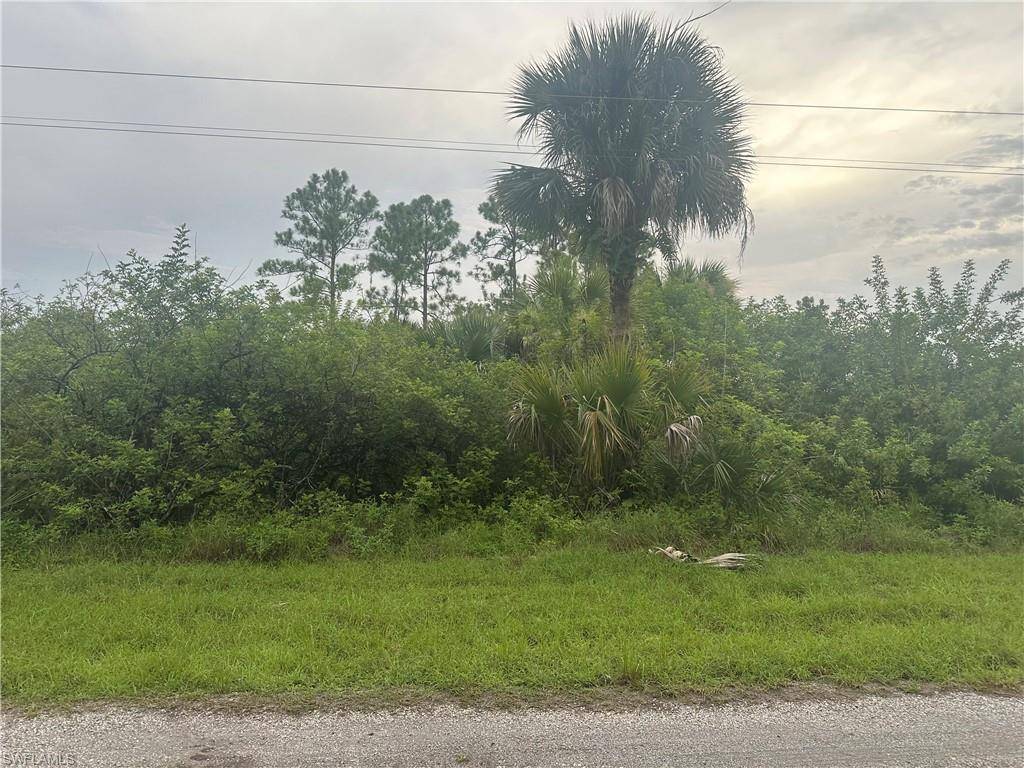 Lehigh Acres, FL 33974,850 Haskell ST E