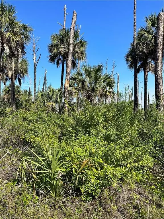Naples, FL 34117,32nd Ave SE