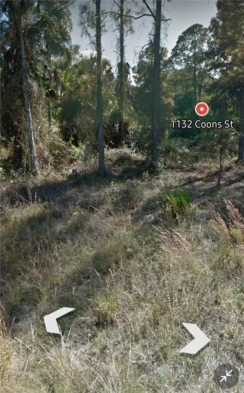 Lehigh Acres, FL 33974,1132 Coons ST E