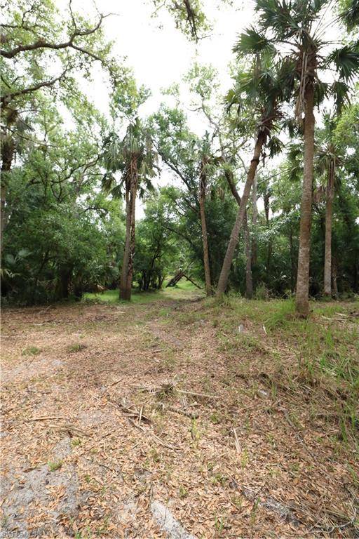 Arcadia, FL 34266,2998 SW Armadillo TRL