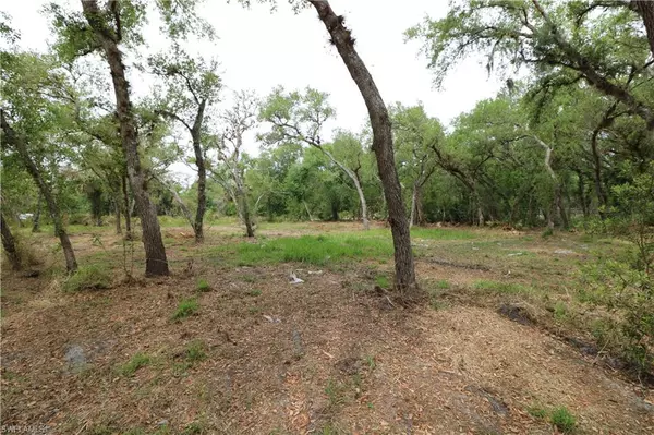 Arcadia, FL 34266,2998 SW Armadillo TRL