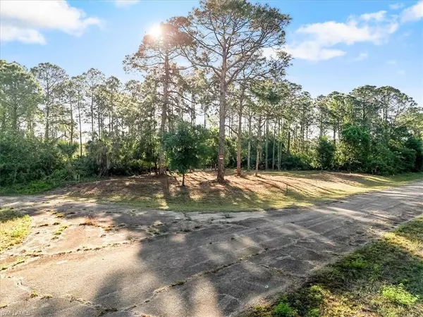 Labelle, FL 33935,107 Rosemont PL