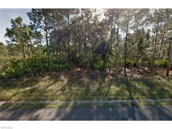 Lehigh Acres, FL 33974,1138 Cove ST E