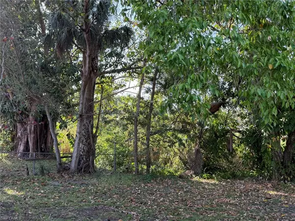 Fort Myers, FL 33916,1308 Brookhill DR