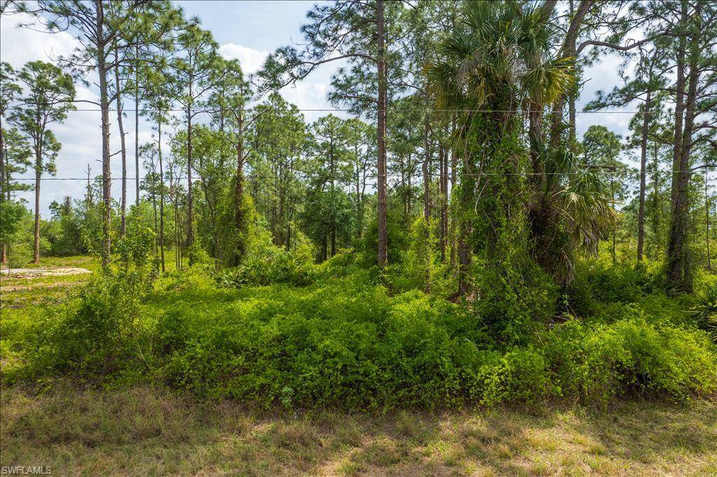 Lehigh Acres, FL 33972,1316 Monroe AVE