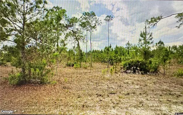 Lehigh Acres, FL 33972,1005 Hamilton AVE
