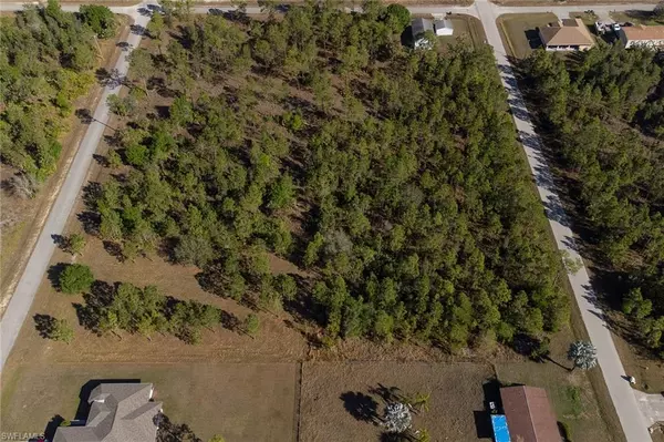 1017 McArthur AVE, Lehigh Acres, FL 33936
