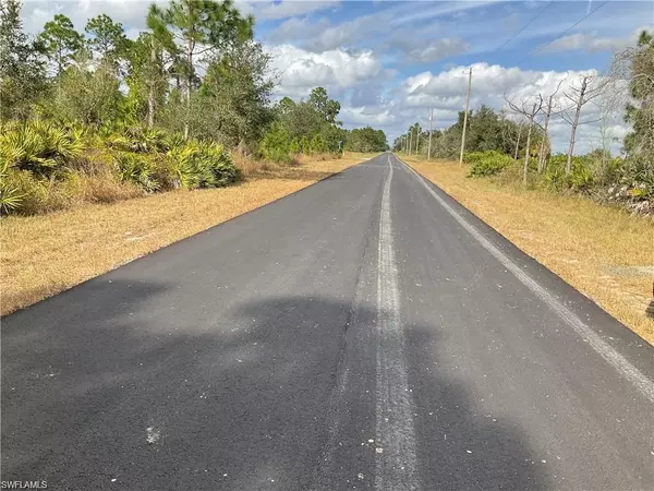 Lehigh Acres, FL 33974,1015 Naples AVE S