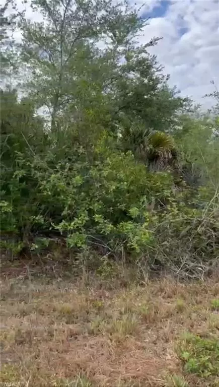310 Jourferie RD, Lehigh Acres, FL 33974