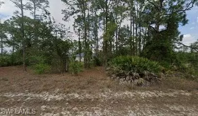 2907 E 9th ST, Lehigh Acres, FL 33972