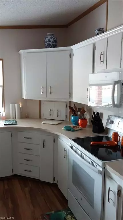 Bonita Springs, FL 34135,26284 Raleigh DR