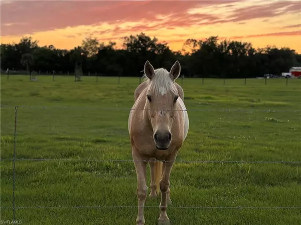 Alva, FL 33920,19861 N River RD