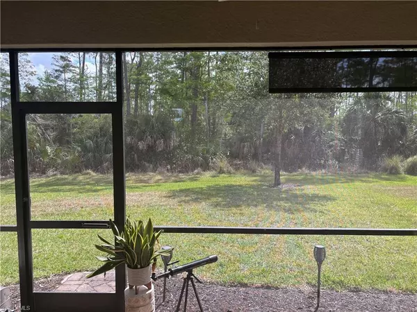Naples, FL 34119,4339 Raffia Palm CIR